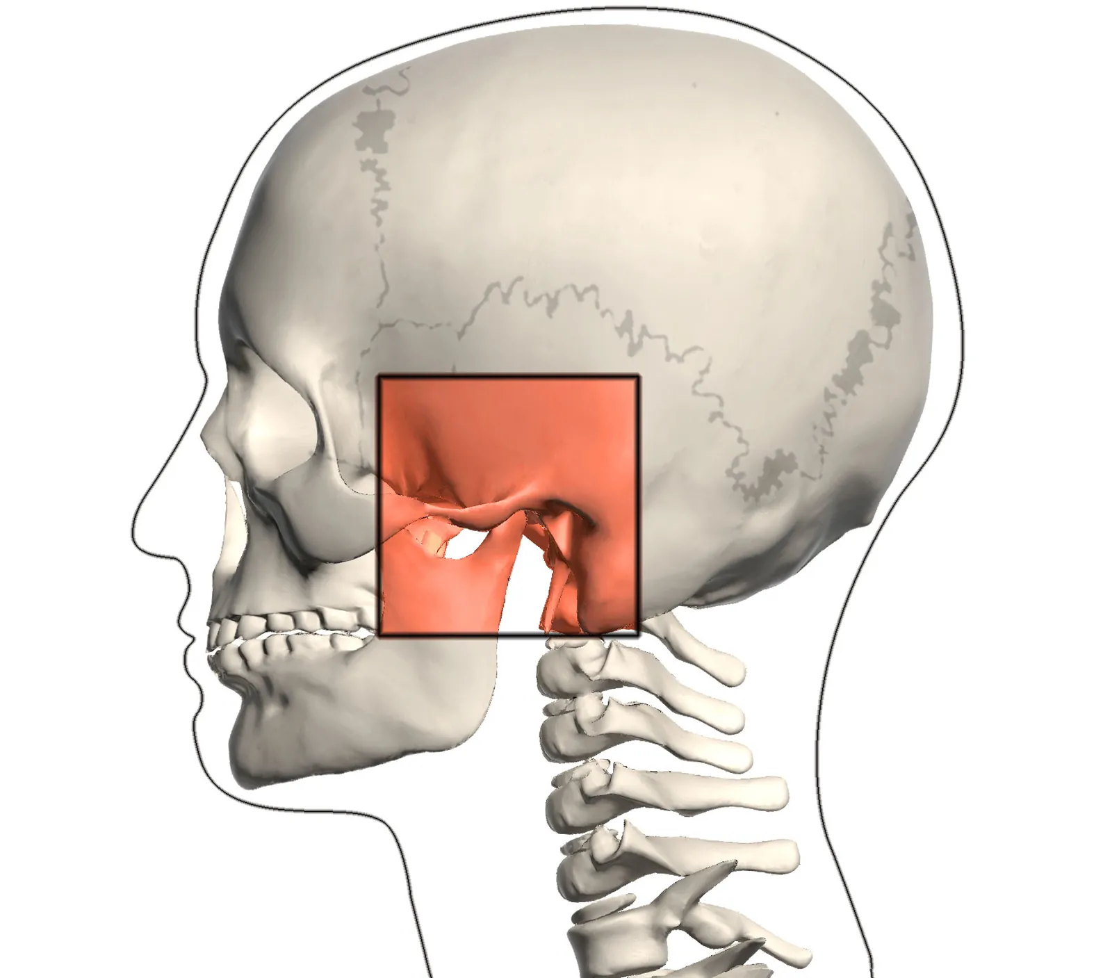 TMJ Dysfunction: How Jaw Pain Connects to Neck Pain and Headaches